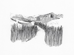 Barn with Tall Grass